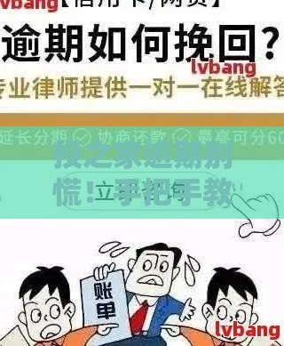 投之家逾期别慌！手把手教你正确应对贷款逾期难题