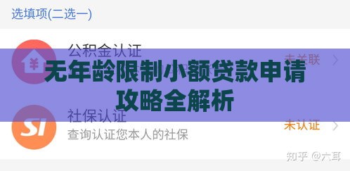 无年龄限制小额贷款申请攻略全解析