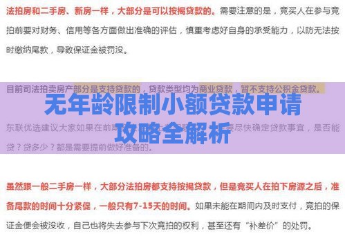 无年龄限制小额贷款申请攻略全解析