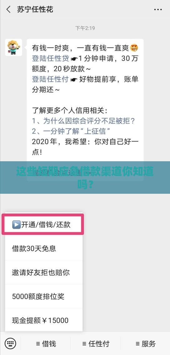 这些短期应急借款渠道你知道吗？