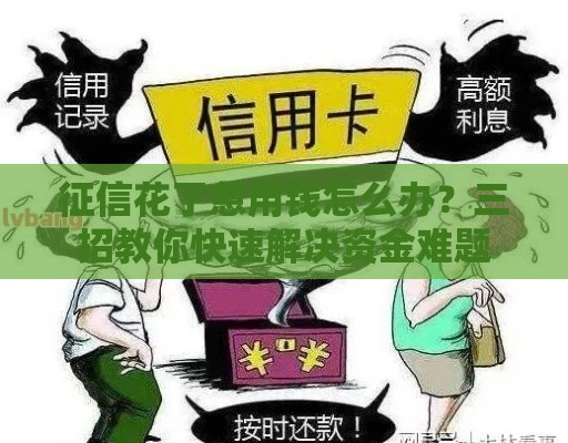 征信花了急用钱怎么办？三招教你快速解决资金难题
