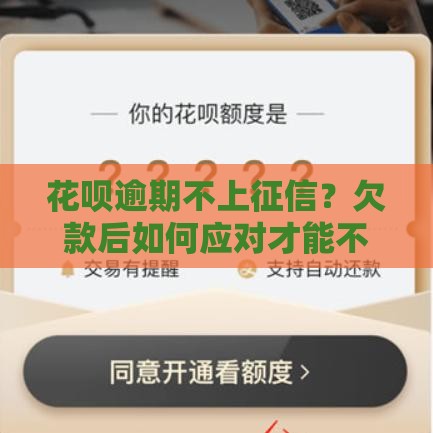 花呗逾期不上征信？欠款后如何应对才能不踩坑