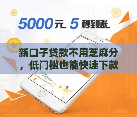 新口子贷款不用芝麻分，低门槛也能快速下款
