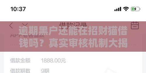 逾期黑户还能在招财猫借钱吗？真实审核机制大揭秘