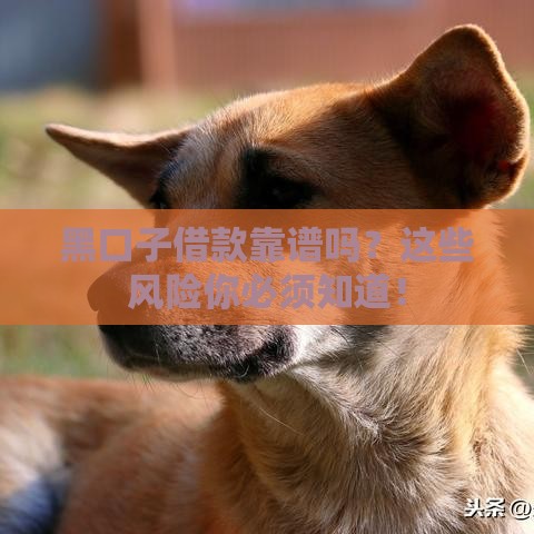 黑口子借款靠谱吗？这些风险你必须知道！