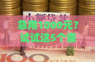 急用1000元？试试这5个靠谱小额贷款口子！