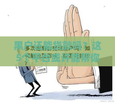 黑户还能贷款吗？这5个平台或许能帮你应急！