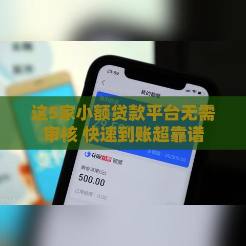 这5家小额贷款平台无需审核 快速到账超靠谱