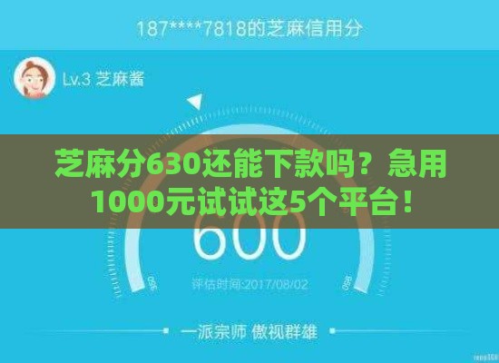 芝麻分630还能下款吗？急用1000元试试这5个平台！