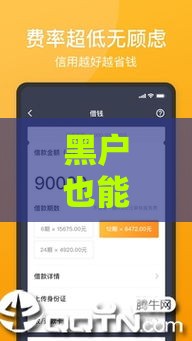 黑户也能下款？试试这几个分期口子，真实经验分享！