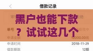 黑户也能下款？试试这几个分期口子，真实经验分享！