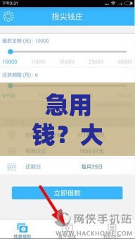 急用钱？大额借款口子申请攻略，教你快速避坑到账！