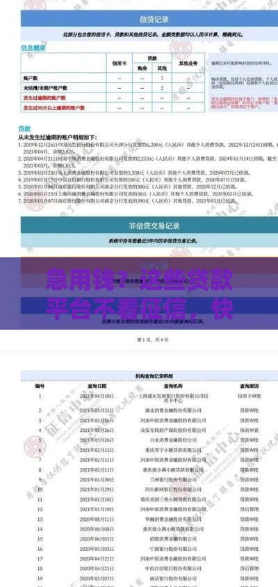急用钱？这些贷款平台不看征信，快速到账！