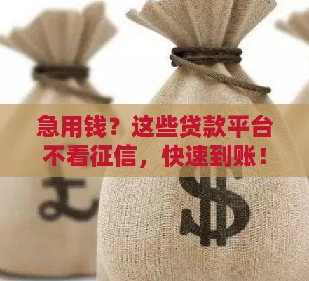 急用钱？这些贷款平台不看征信，快速到账！