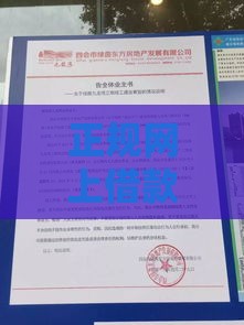 正规网上借款平台有哪些？这份避坑指南必须收藏