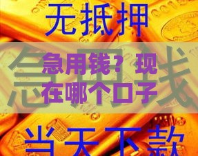 急用钱？现在哪个口子能下来钱？试试这几种靠谱渠道！