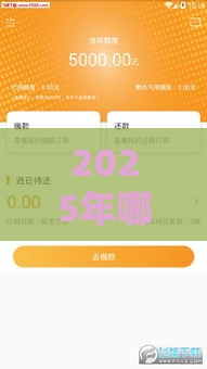 2025年哪个贷款软件容易通过？这些技巧助你快速下款