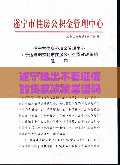 遂宁推出不看征信的贷款政策靠谱吗