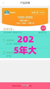 2025年大额贷款口子必看！低息轻松下款攻略