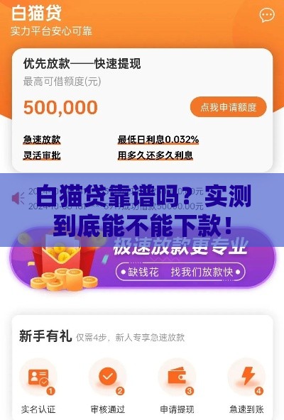 白猫贷靠谱吗？实测到底能不能下款！