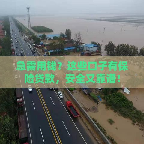 急需用钱？这些口子有保险贷款，安全又靠谱！