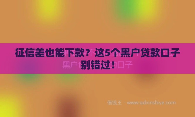 征信差也能下款？这5个黑户贷款口子别错过！