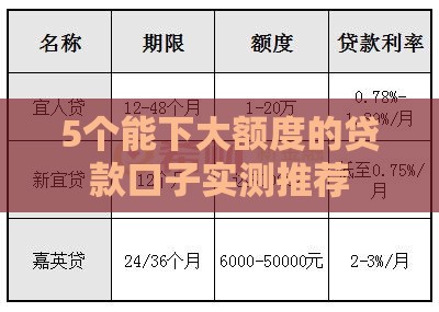 5个能下大额度的贷款口子实测推荐