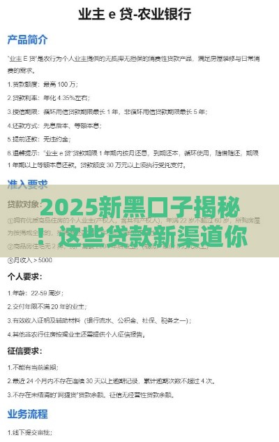 2025新黑口子揭秘！这些贷款新渠道你了解吗？