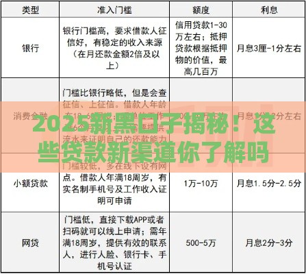 2025新黑口子揭秘！这些贷款新渠道你了解吗？