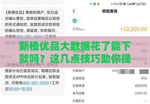 新橙优品大数据花了能下款吗？这几点技巧助你提升通过率！