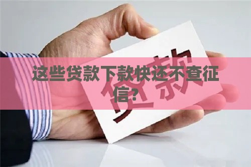 这些贷款下款快还不查征信？