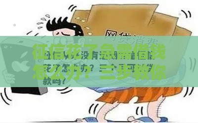 征信花了急需借钱怎么办？三步教你快速解决贷款难题