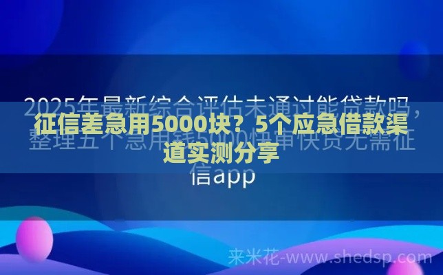 征信差急用5000块？5个应急借款渠道实测分享