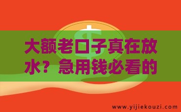 大额老口子真在放水？急用钱必看的低门槛贷款攻略