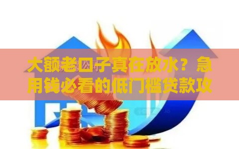 大额老口子真在放水？急用钱必看的低门槛贷款攻略
