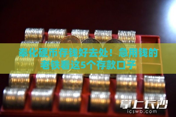 奉化硬币存钱好去处！急用钱的老铁看这5个存款口子