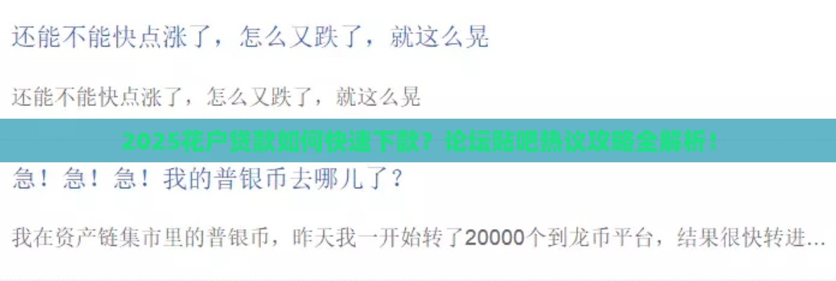 2025花户贷款如何快速下款？论坛贴吧热议攻略全解析！