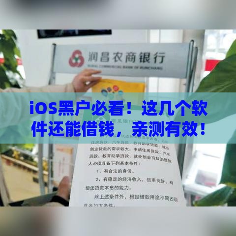 iOS黑户必看！这几个软件还能借钱，亲测有效！