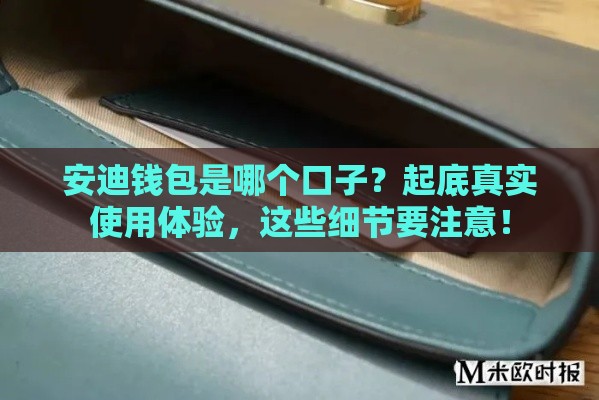 安迪钱包是哪个口子？起底真实使用体验，这些细节要注意！