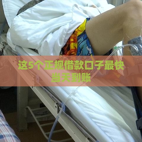 这5个正规借款口子最快当天到账