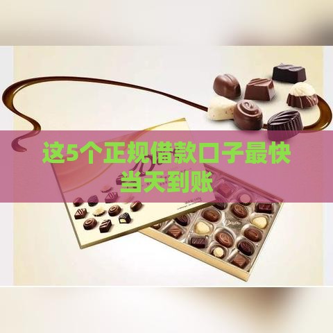 这5个正规借款口子最快当天到账