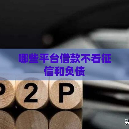 哪些平台借款不看征信和负债