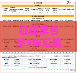 征信黑名单5年后能恢复？贷款必看攻略