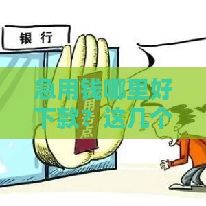 急用钱哪里好下款？这几个平台审核松、利息低，不看征信也能过！
