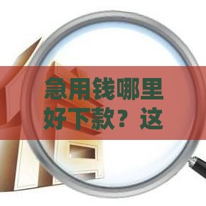 急用钱哪里好下款？这几个平台审核松、利息低，不看征信也能过！