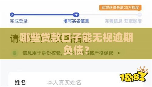 哪些贷款口子能无视逾期负债？