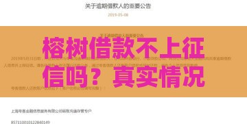 榕树借款不上征信吗？真实情况大揭秘