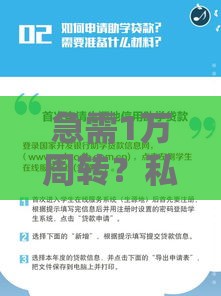 急需1万周转？私人借贷全攻略，手把手教你避坑省钱！