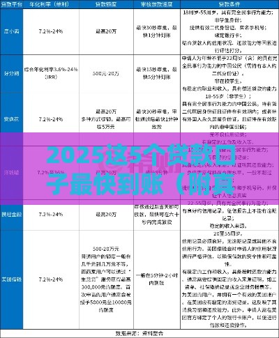 2025这5个贷款口子最快到账（附真实测评）