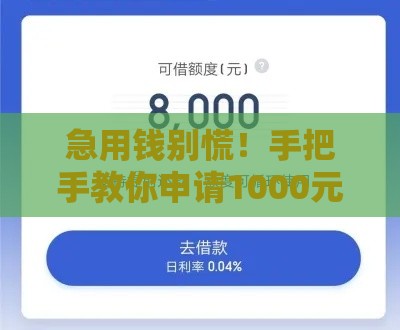 急用钱别慌！手把手教你申请1000元秒到账的贷款攻略
